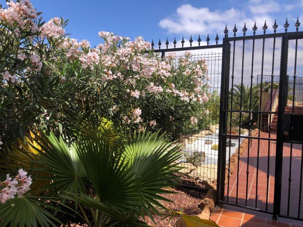 Apartamento Con Impresionantes Vistas Y Piscina Costa Adeje  Exteriör bild